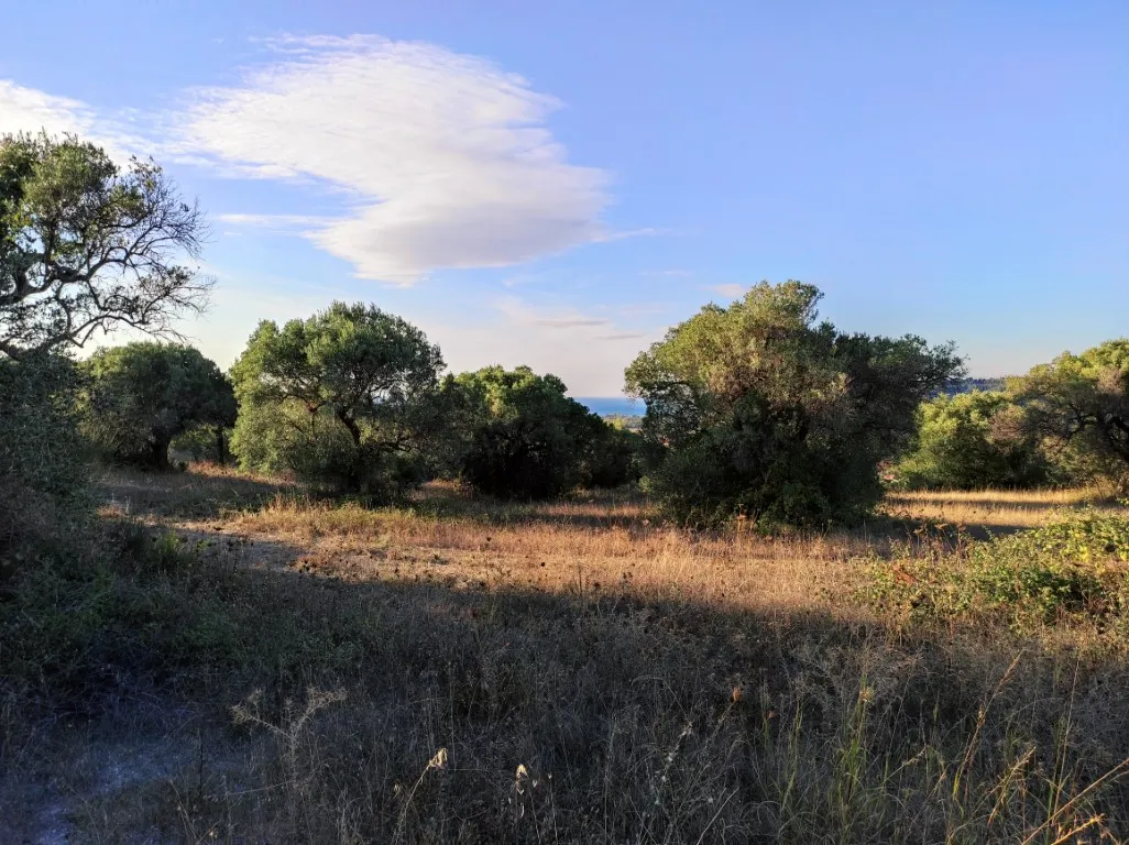 οικόπεδο προς πώληση 5500 τ.μ Κασσάνδρα Χαλκιδική