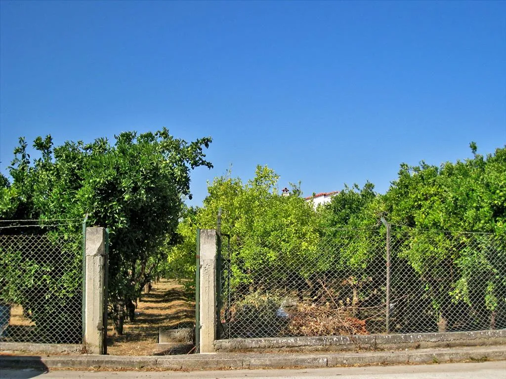 οικόπεδο προς πώληση 782 τ.μ Βέλο Κορινθία