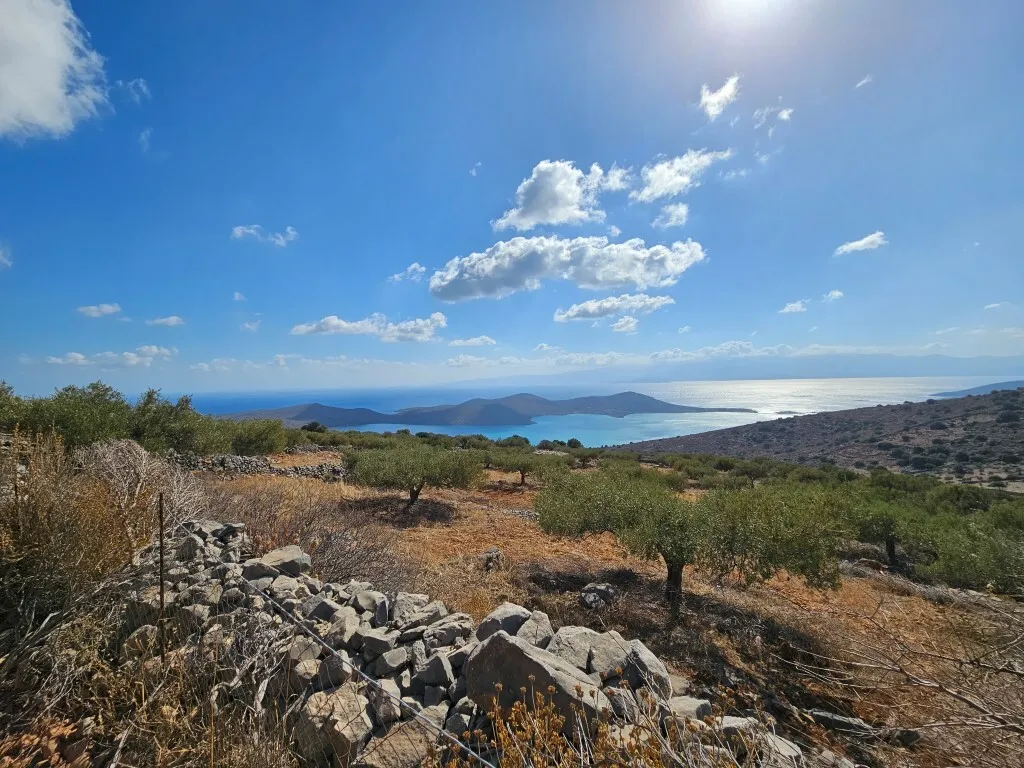 οικόπεδο προς πώληση 12178 τ.μ Άγιος Νικόλαος Νομός Λασιθίου