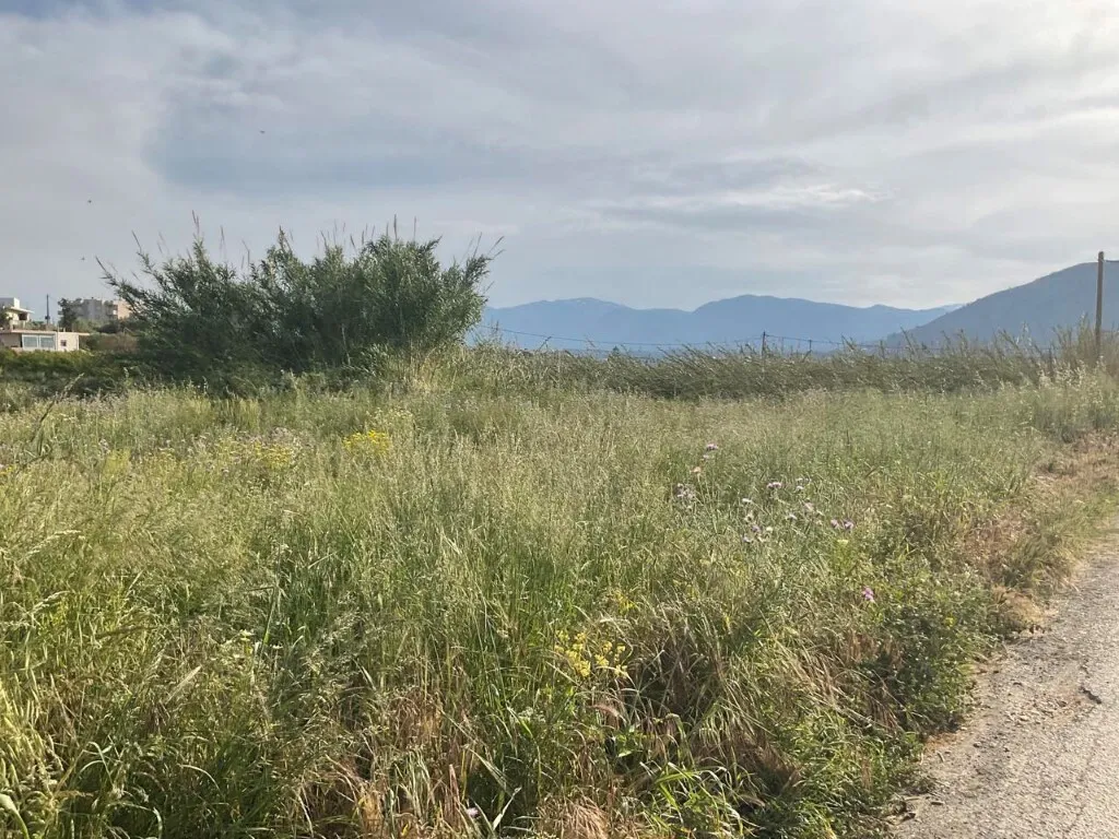 οικόπεδο προς πώληση 2500 τ.μ Γάζι Νομός Ηρακλείου