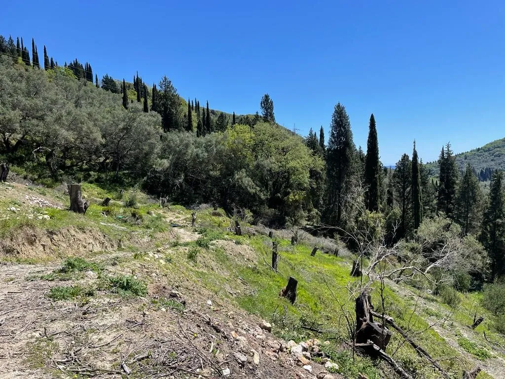 οικόπεδο προς πώληση 8500 τ.μ Κέρκυρα Νομός Κέρκυρας