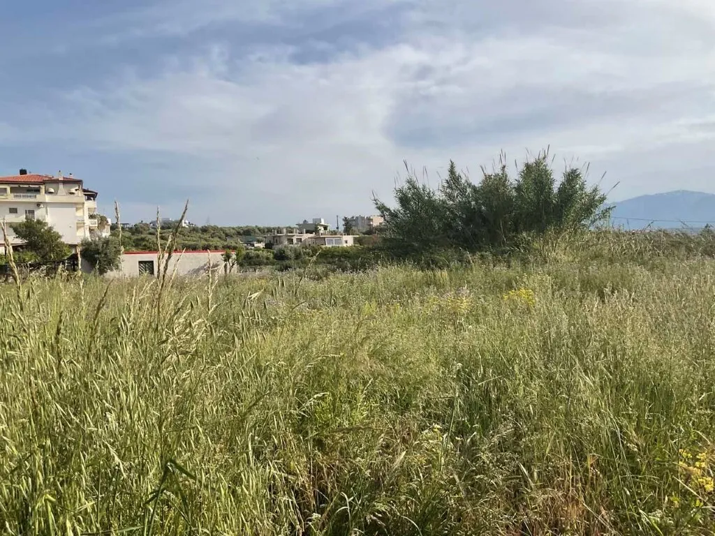 οικόπεδο προς πώληση 2500 τ.μ Γάζι Νομός Ηρακλείου