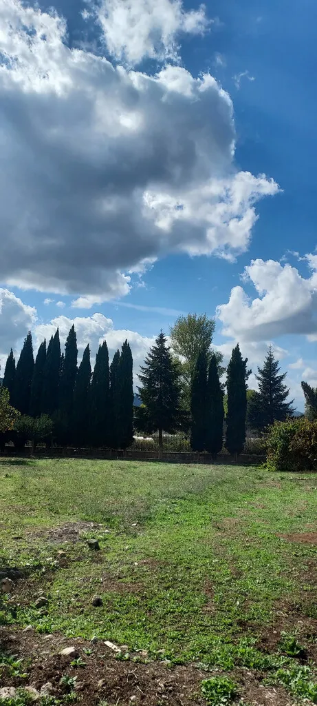 461