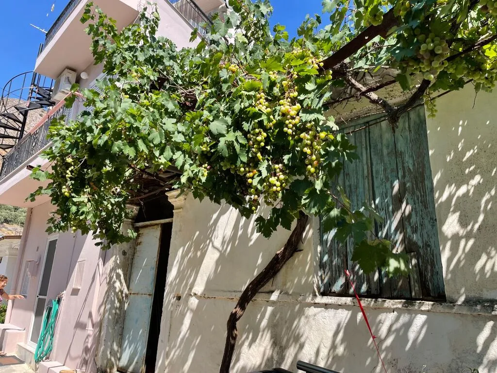 μονοκατοικία προς πώληση 92 τ.μ Άγιος Νικόλαος Νομός Λασιθίου