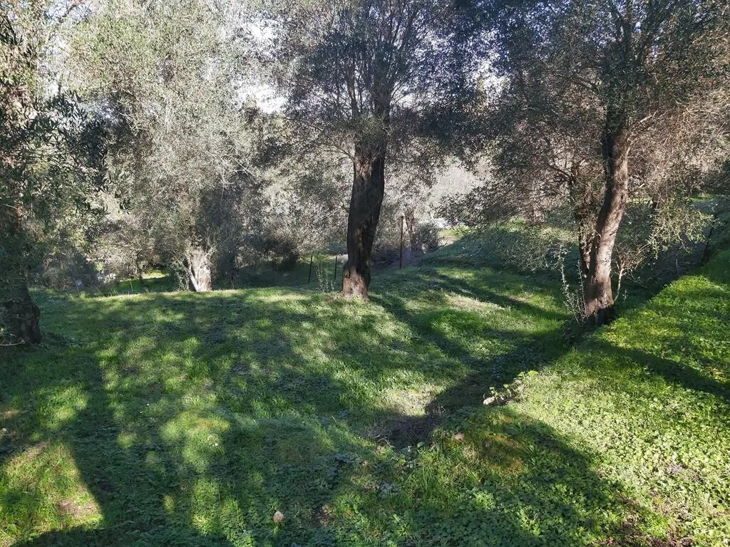 1024