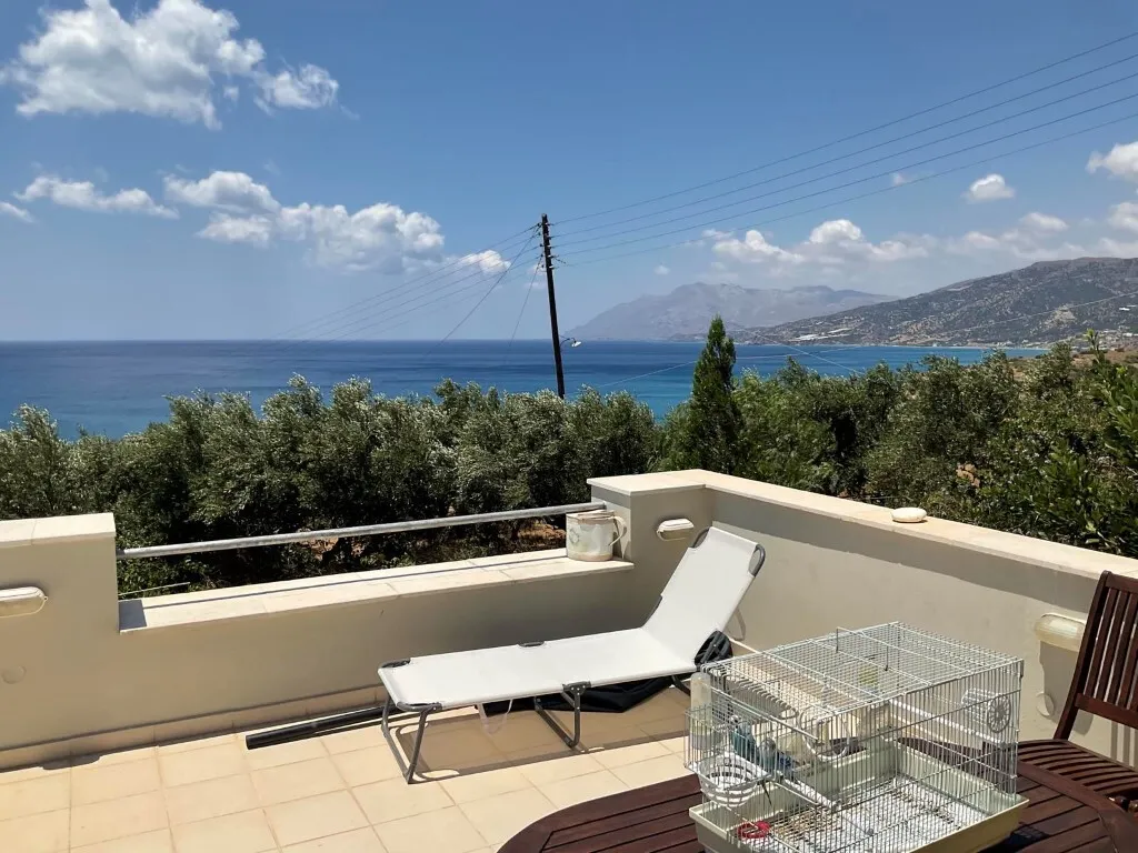 επιχείρηση προς πώληση 286 τ.μ Βιάννος Νομός Ηρακλείου