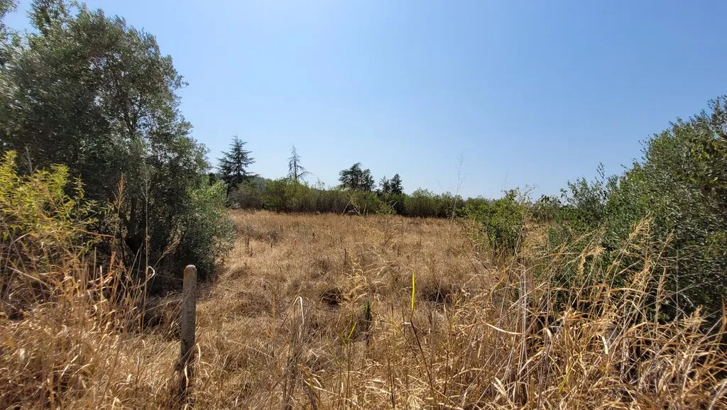 οικόπεδο προς πώληση 5000 τ.μ Θέρμη Προάστια Θεσσαλονίκης