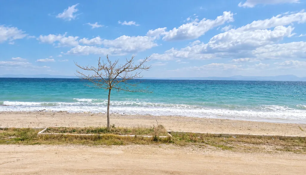 οικόπεδο προς πώληση 2200 τ.μ Κασσάνδρα Χαλκιδική
