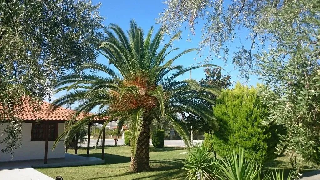 1023